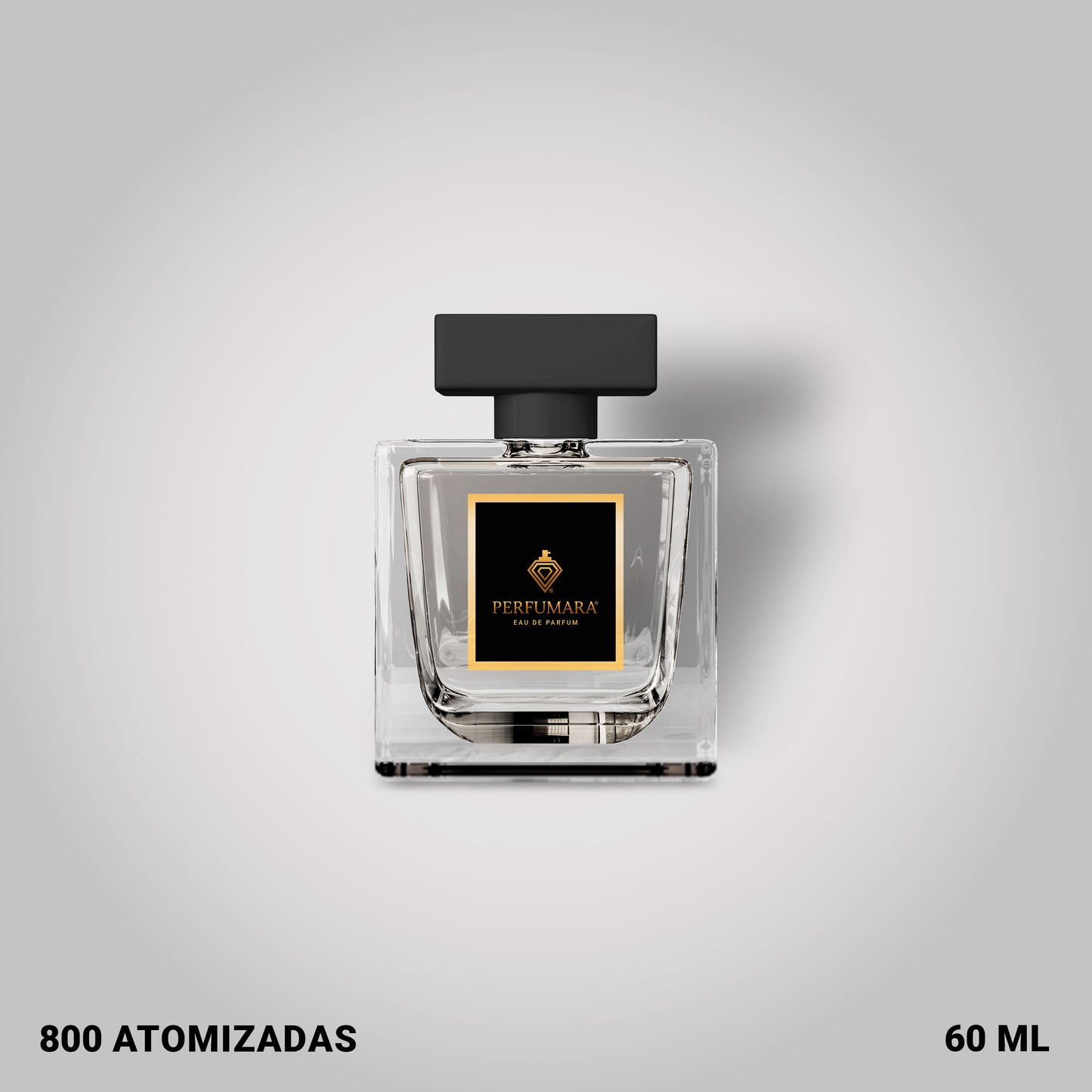 Tendencia a C212 Sexy Men