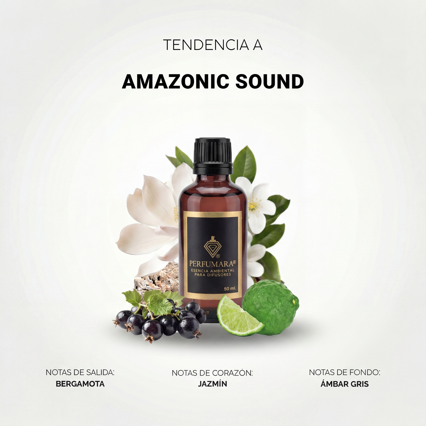 Amazonic Sound (Hotel de lujo)