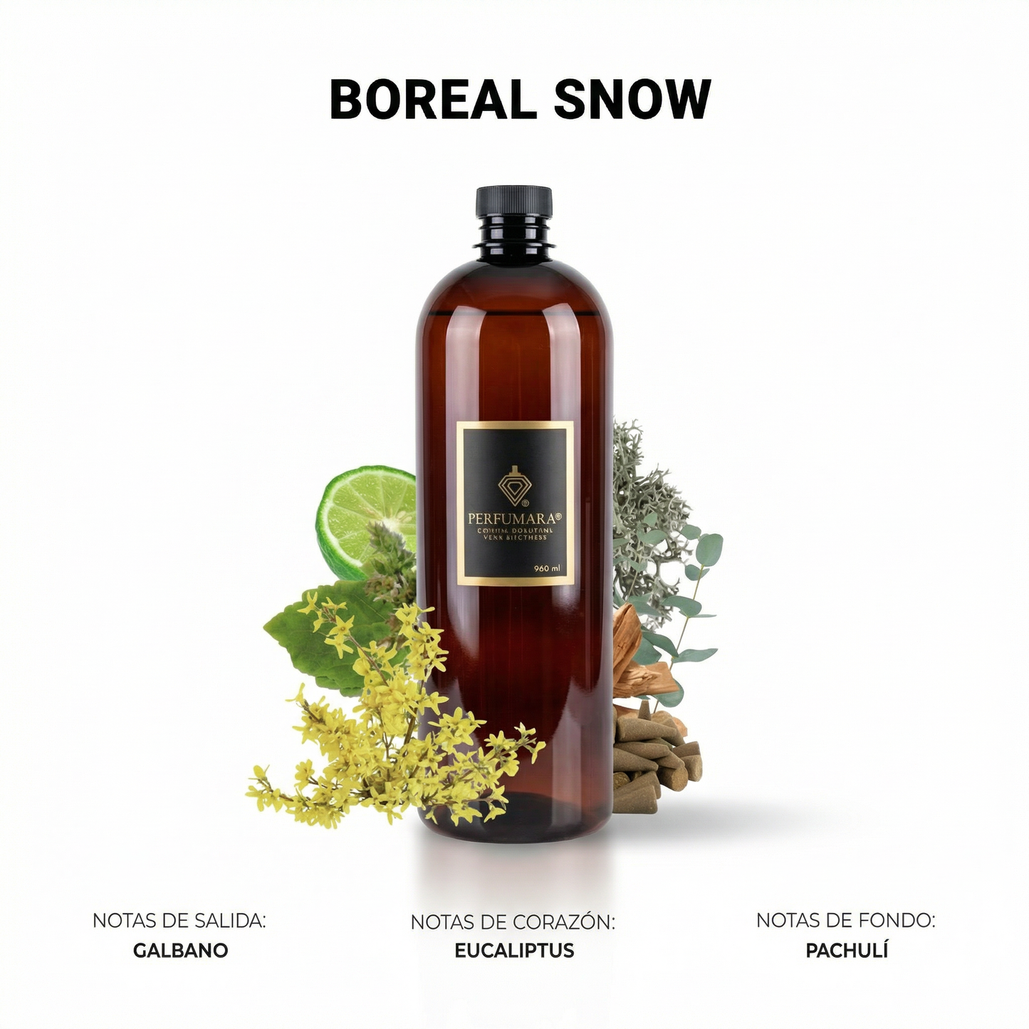 Boreal Snow