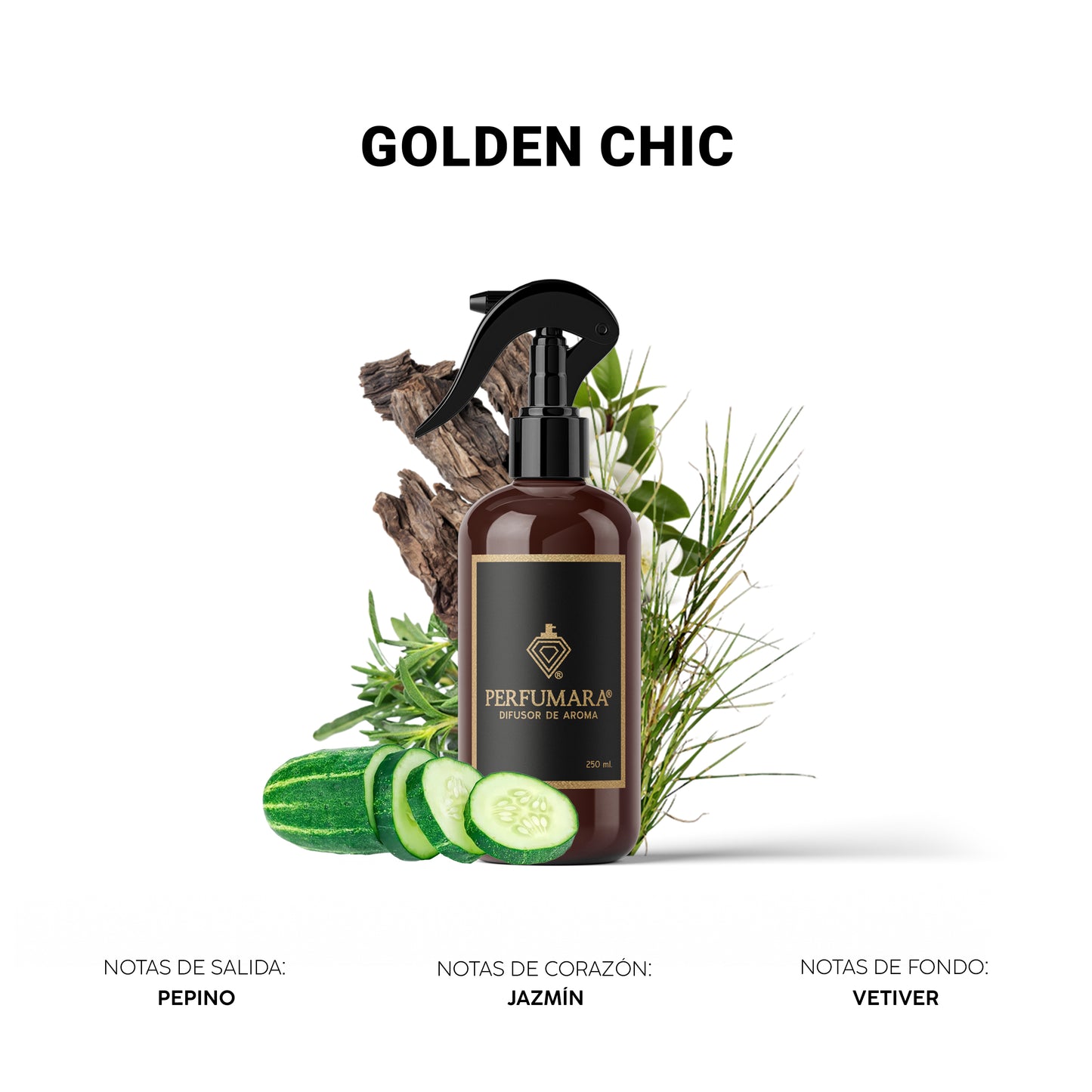 Golden Chic ( Tienda Departamental Súper Exclusiva)