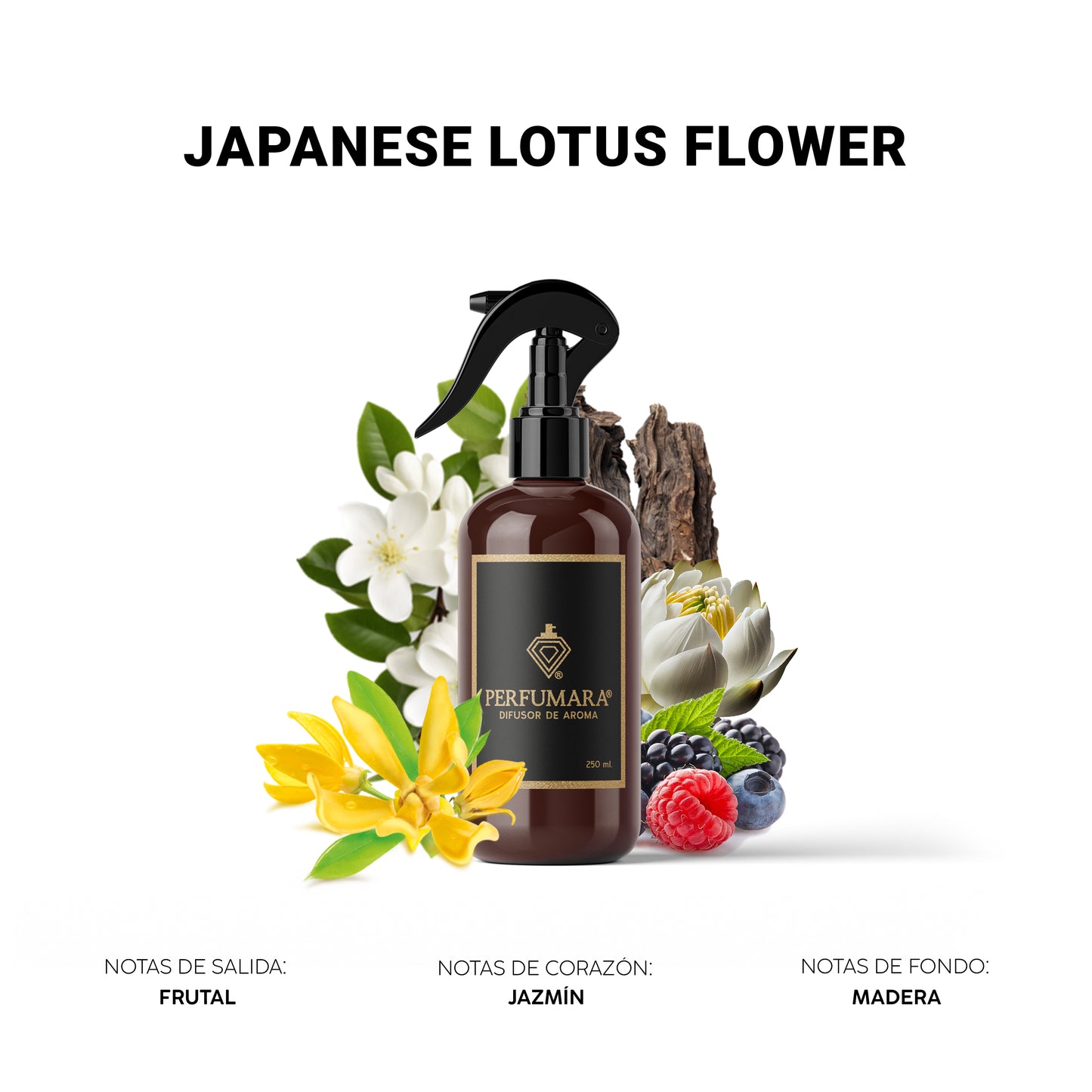 Japanese Lotus Flower ( Relajante, 100% Recomendada)