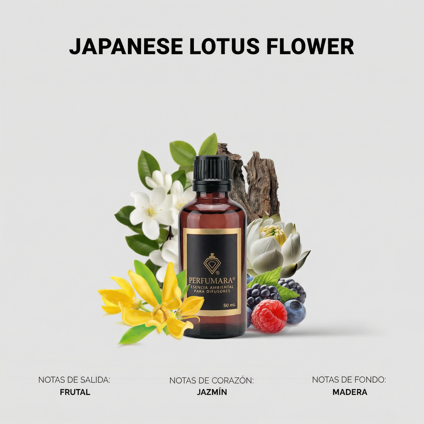 Japanese Lotus Flower ( Satisfacción Total)