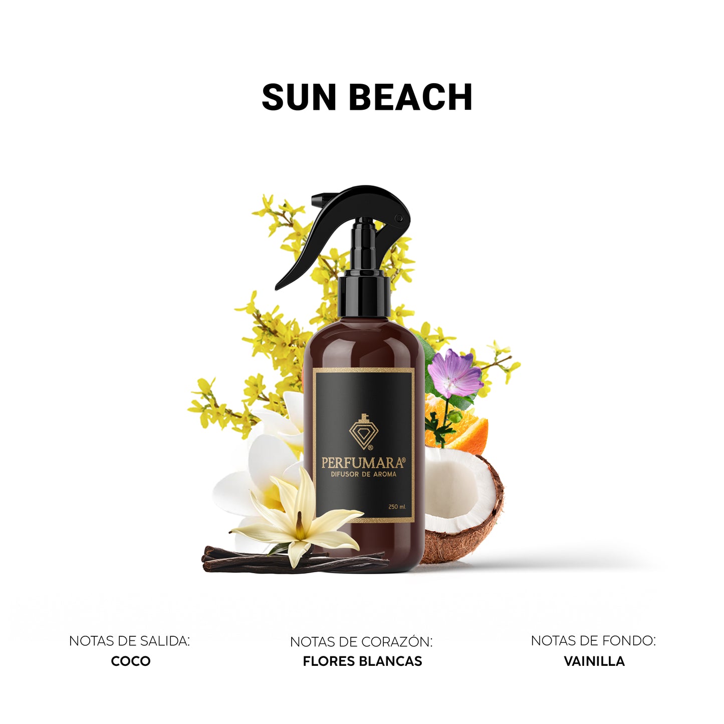 Sun Beach, "la playita en mi hogar"