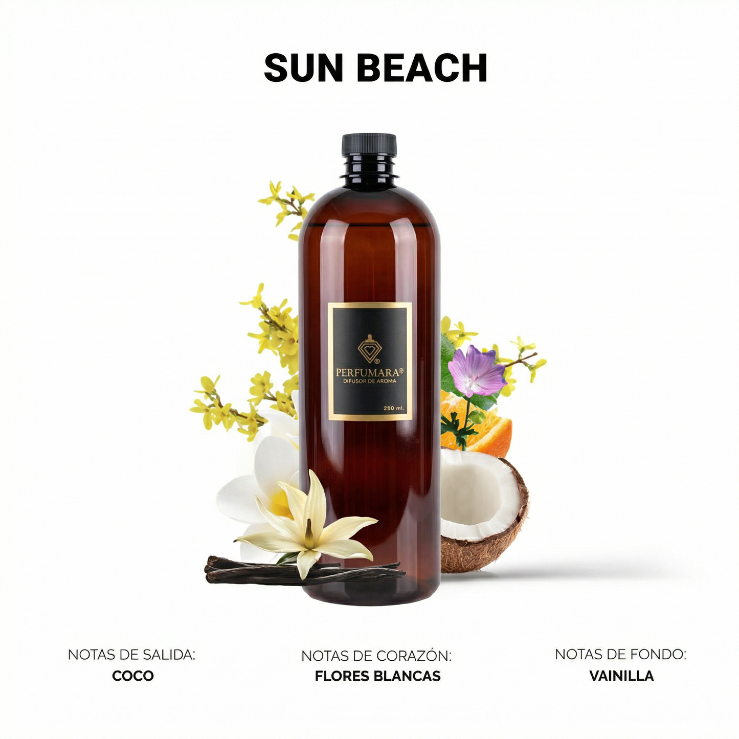 Sun Beach (La Playa en mi casa)