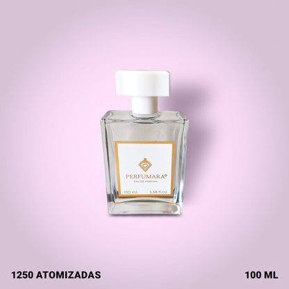 Tendencia a DOmnia Paraiba