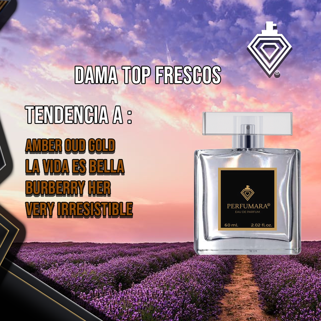 DAMA TOP FRESCOS