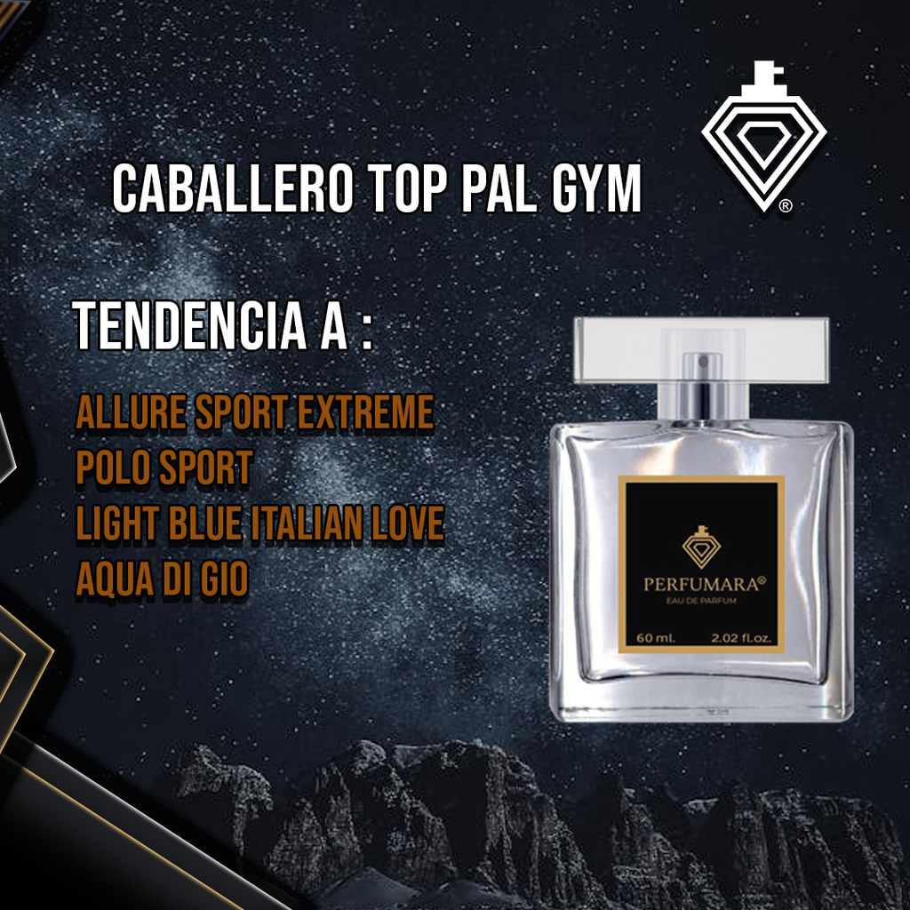 CABALLERO TOP PAL GYM