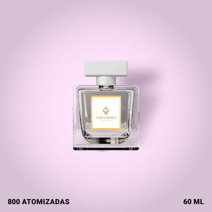 Tendencia a DOmnia Paraiba