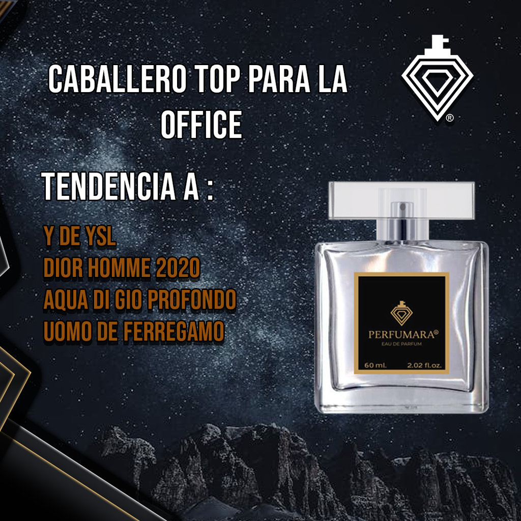 CABALLERO TOP PARA LA OFFICE