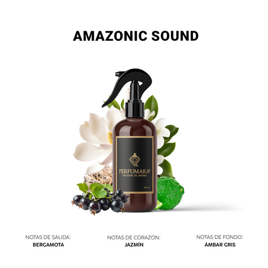 Amazonic Sound ( Hotel Nice)