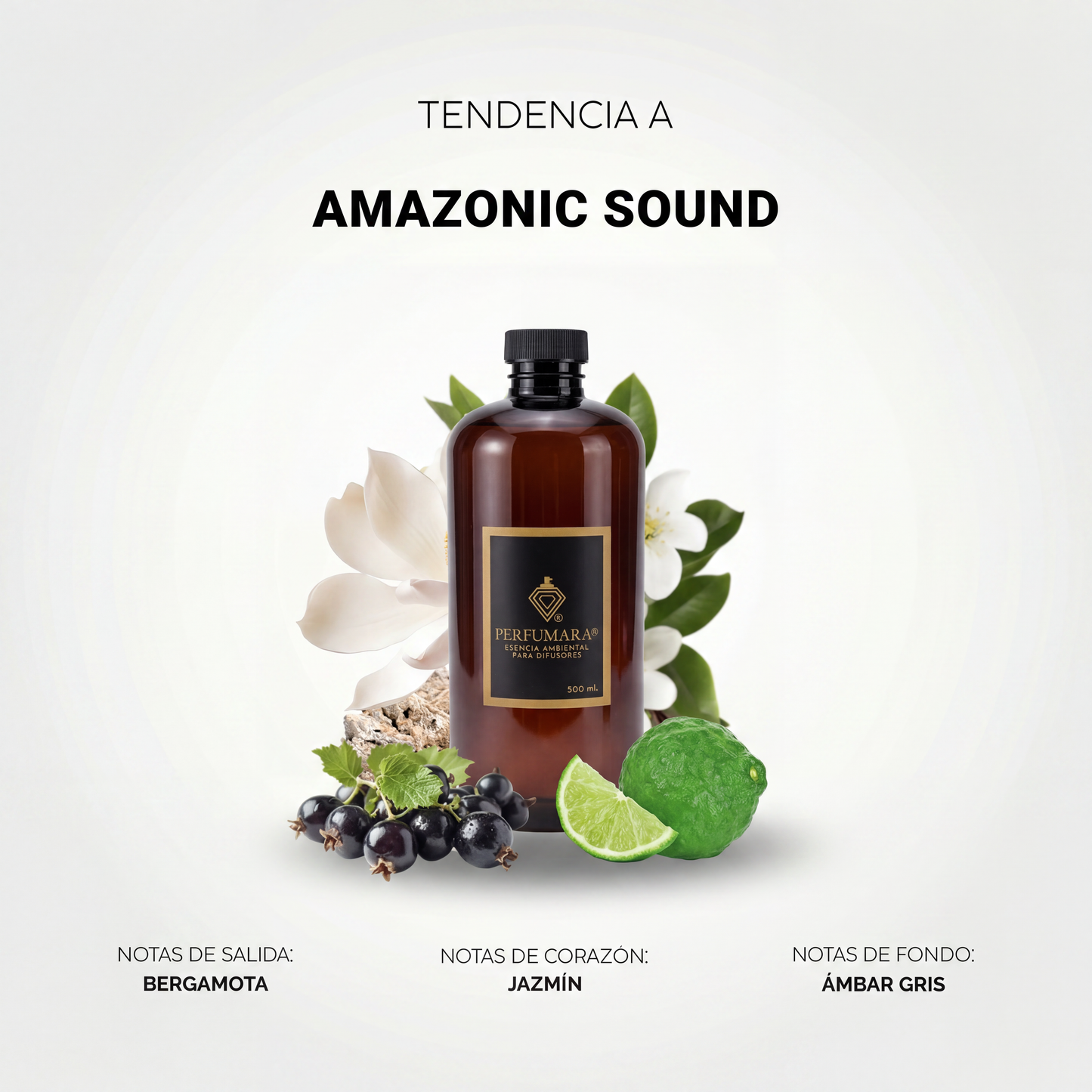 Amazonic Sound (Hotel de lujo)