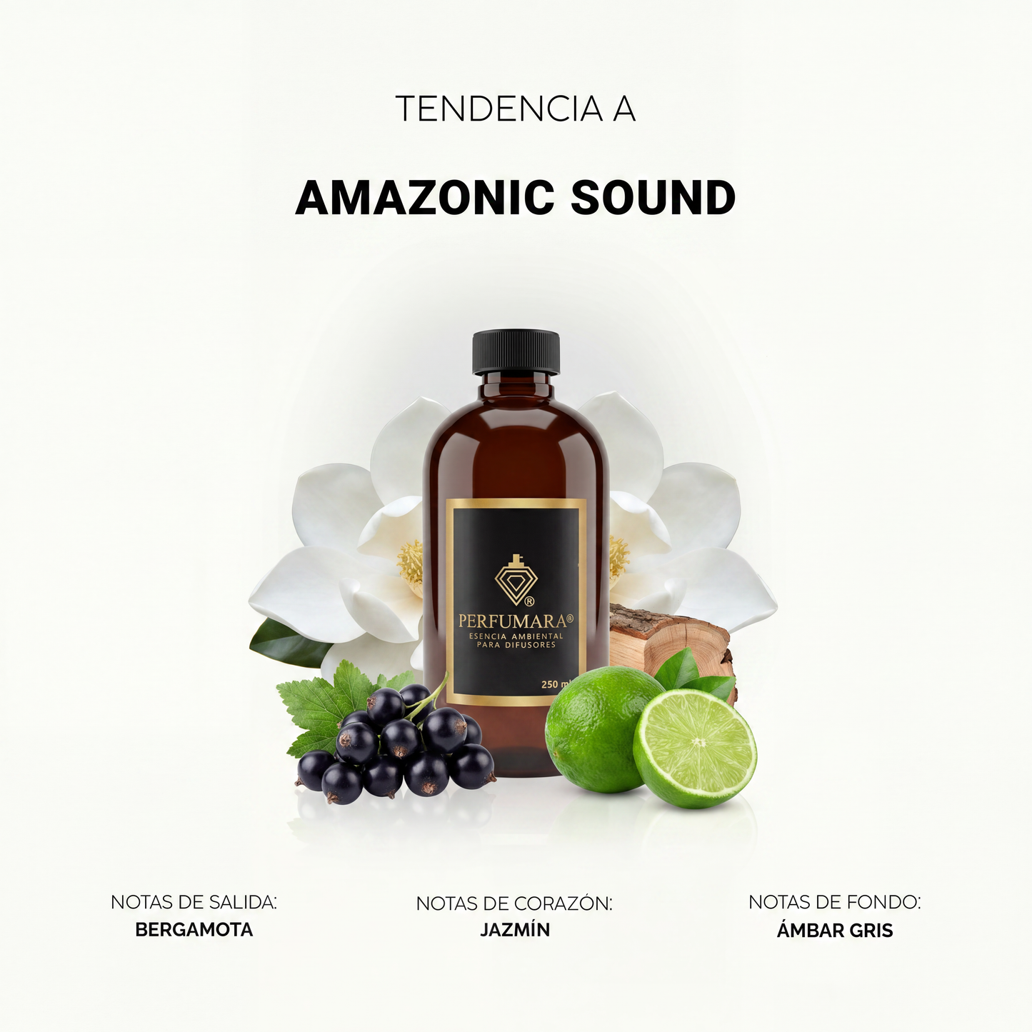 Amazonic Sound (Hotel de lujo)