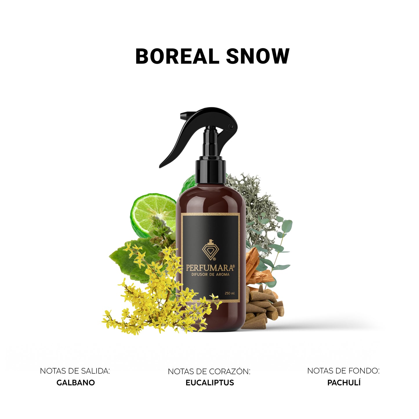 Boreal Snow ( Mixología)