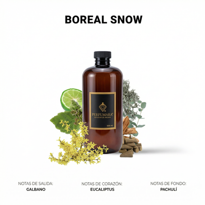 Boreal Snow