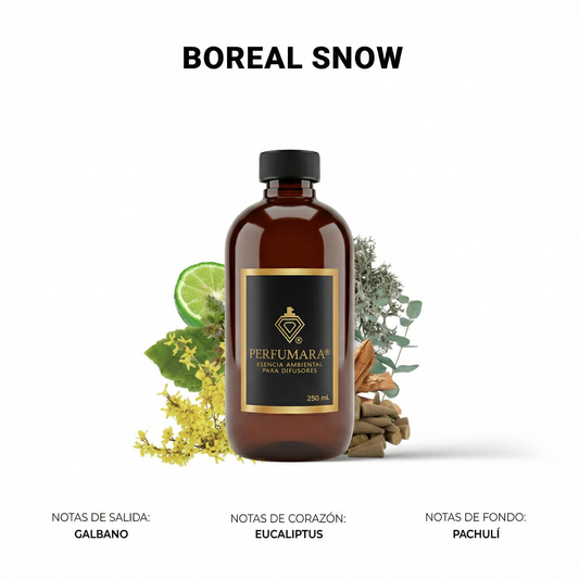 Boreal Snow