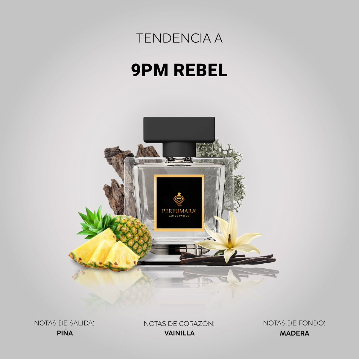 Tendencia a 9PM Rebel