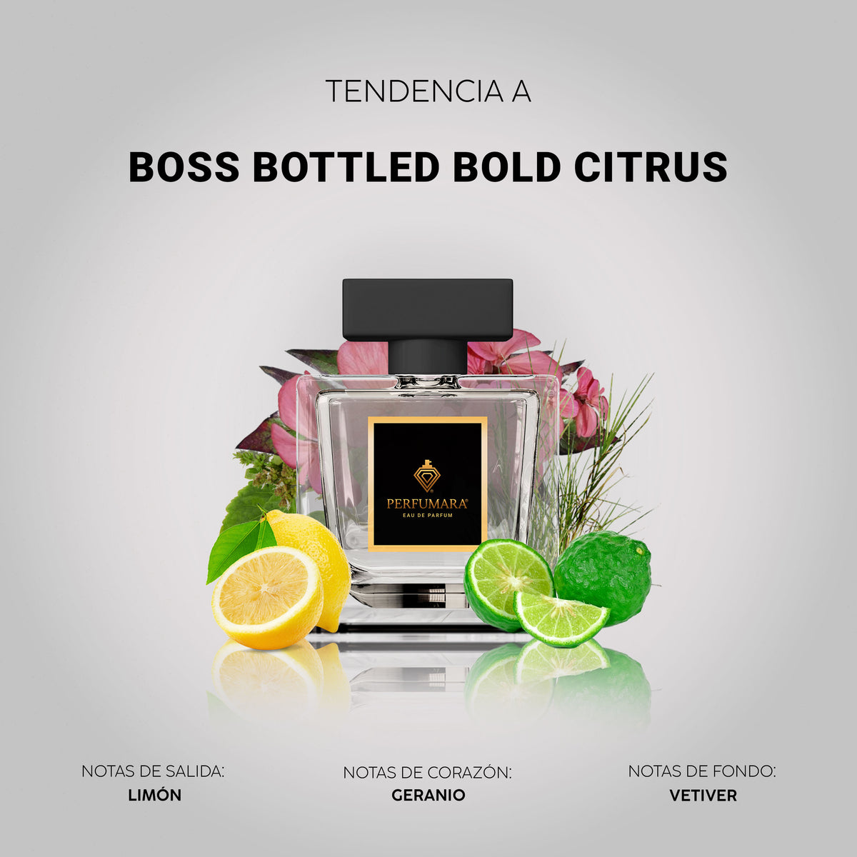 Tendencia a Boss Bottled Bold Citrus