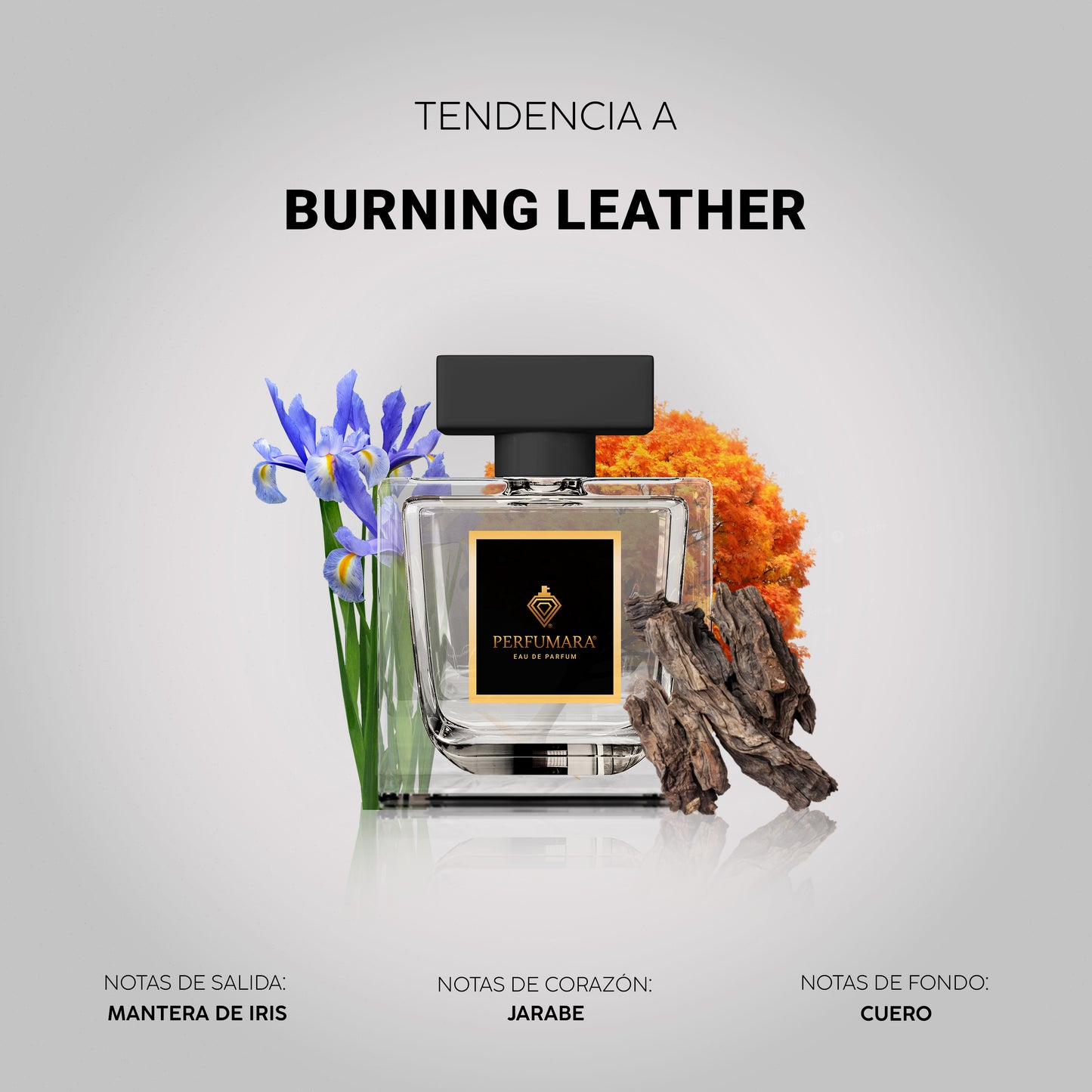 Tendencia a CBurning Leather