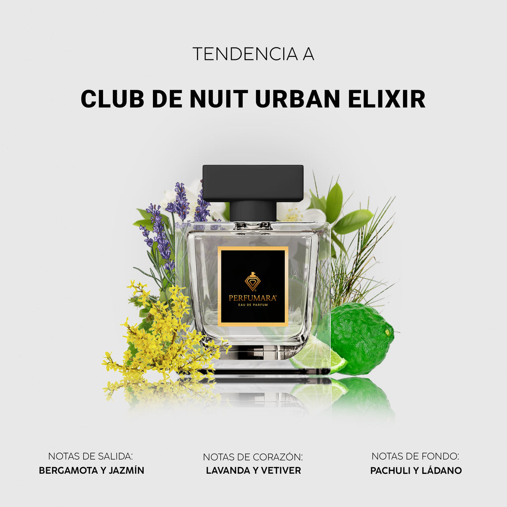 Tendencia a Club de nuit urban elixir
