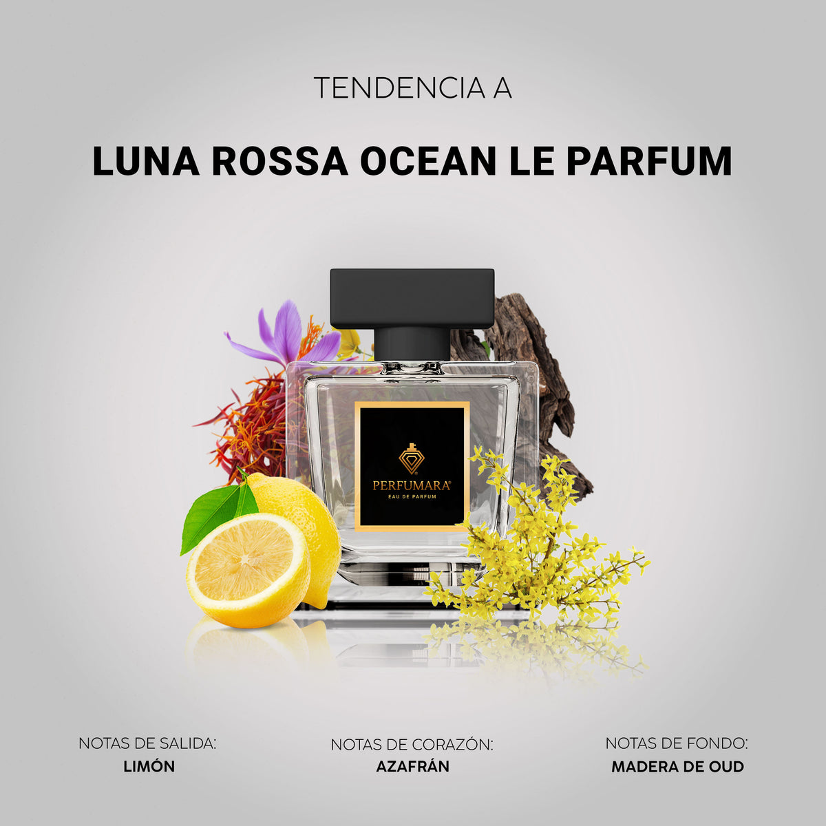 Tendencia a Luna Rossa Ocean Le Parfum