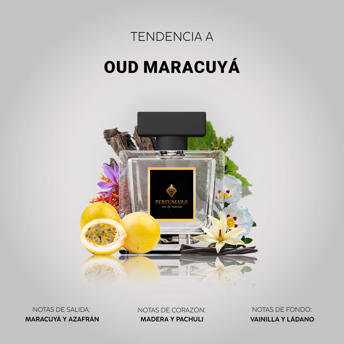 Tendencia a Oud maracuya