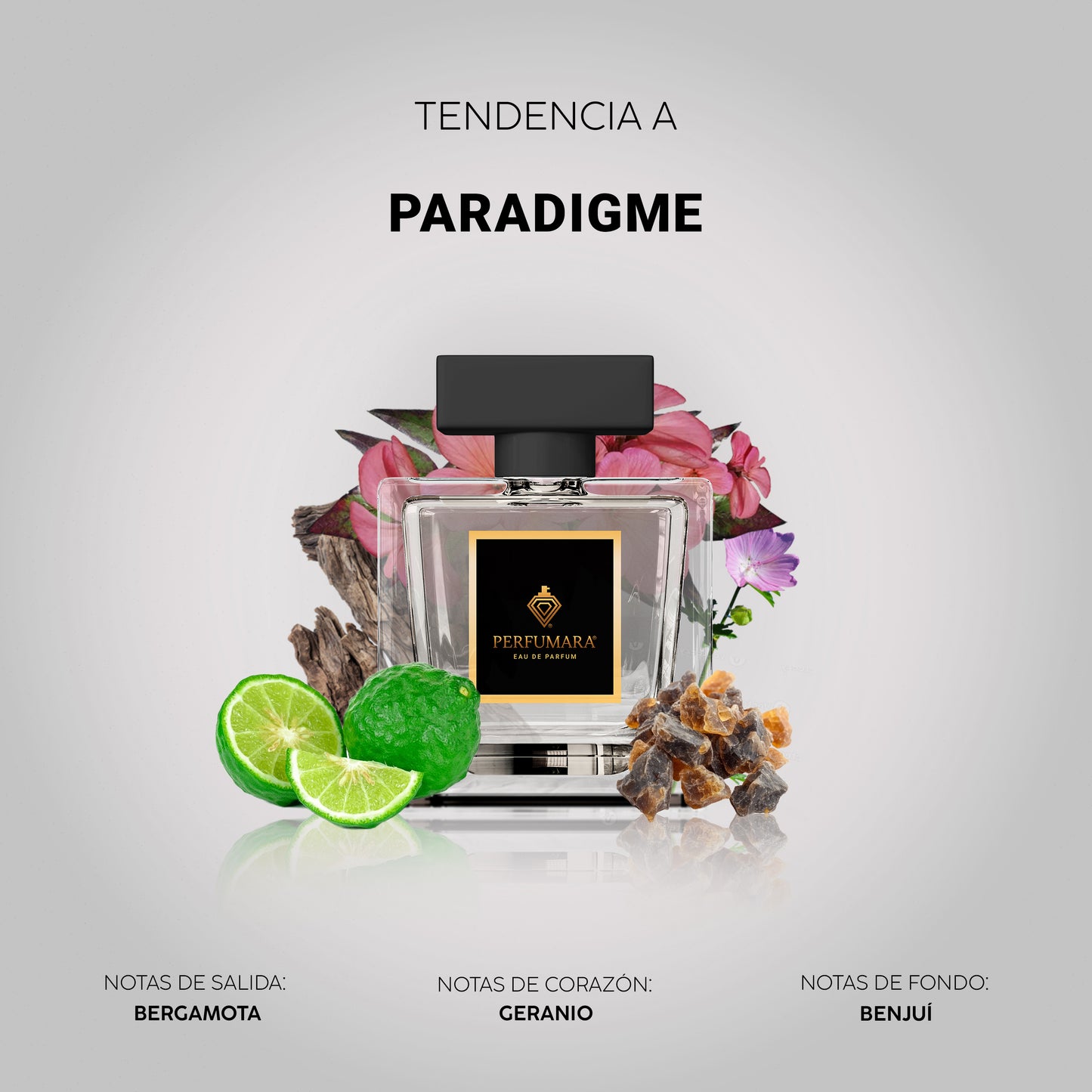 Tendencia a CParadigme