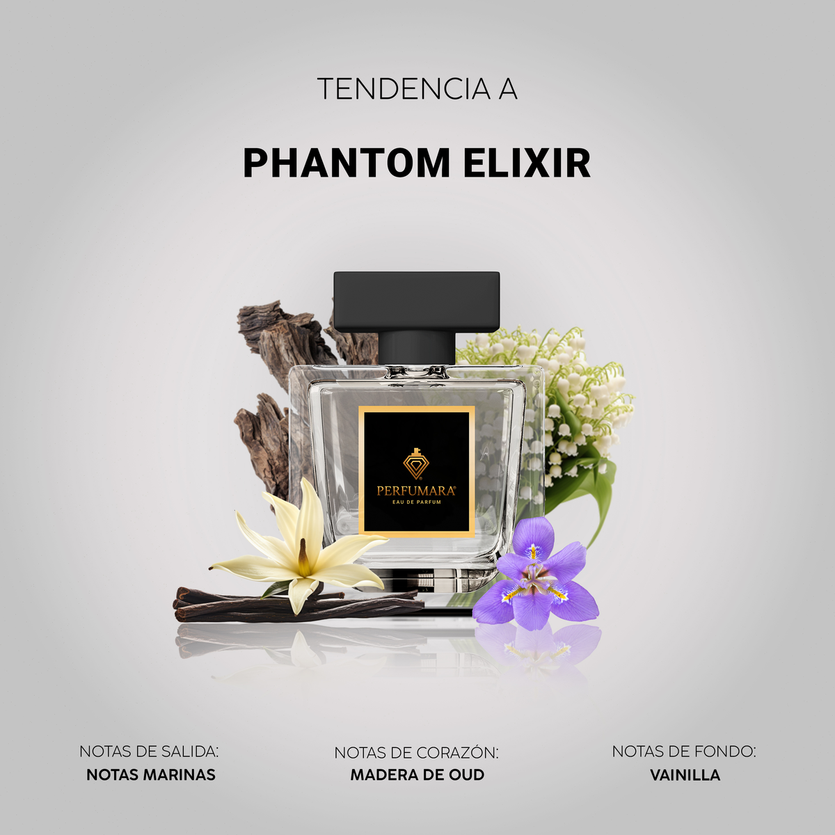 Tendencia a Phantom Elixir