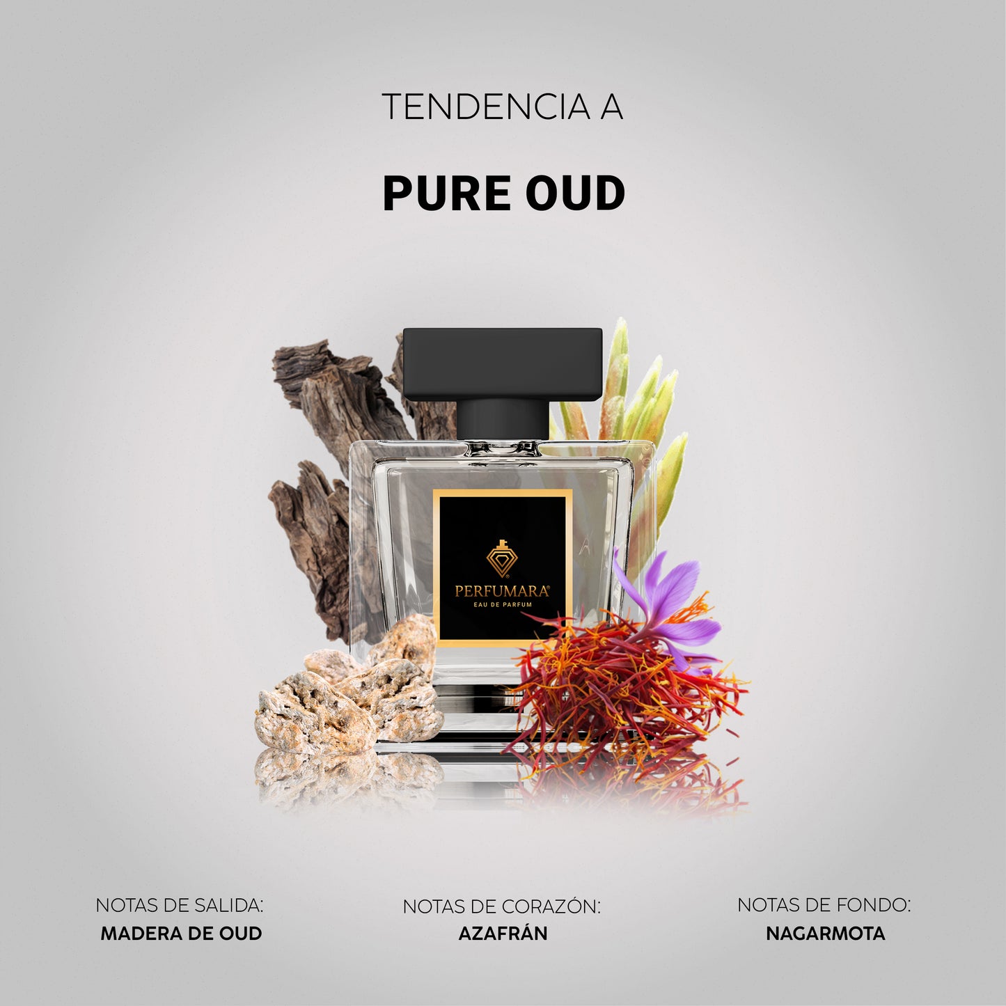 Tendencia a CPure Oud