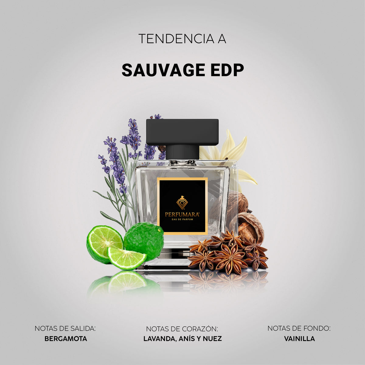Tendencia a Sauvage EDP