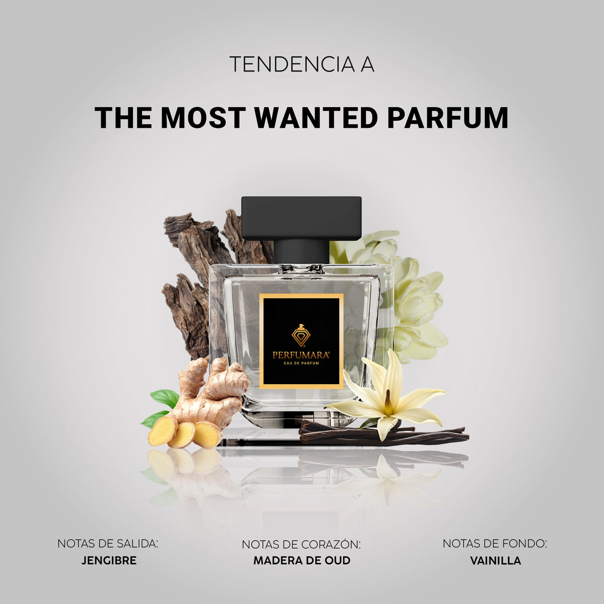 Tendencia a The Most Wanted Parfum