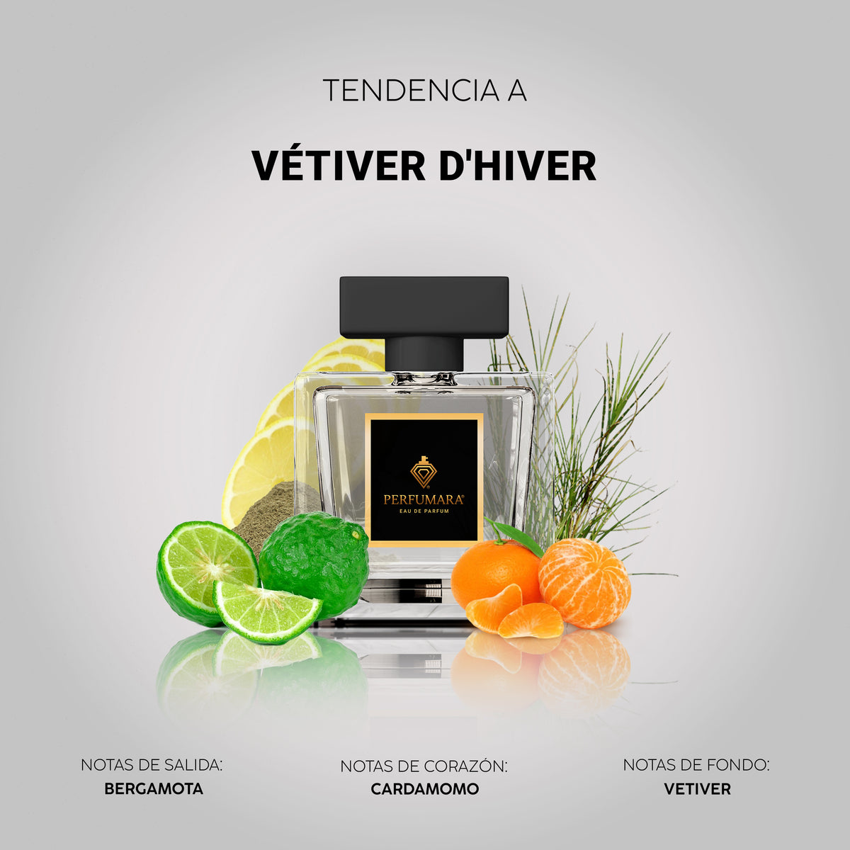 Tendencia a Vétiver d'Hiver