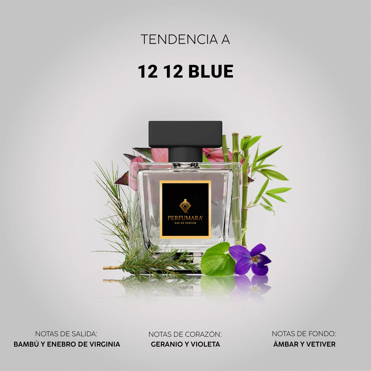 Tendencia a 12.12 Blue Lacoste