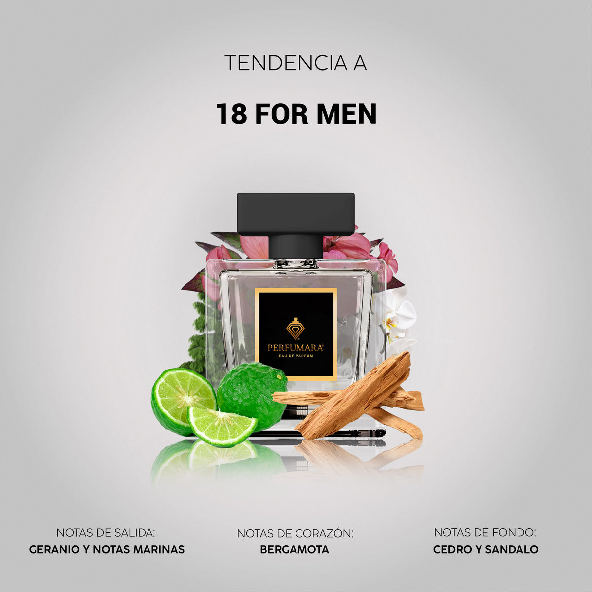 Tendencia a Perry Ellis 18 For Men