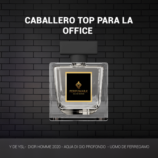 CABALLERO TOP PARA LA OFFICE