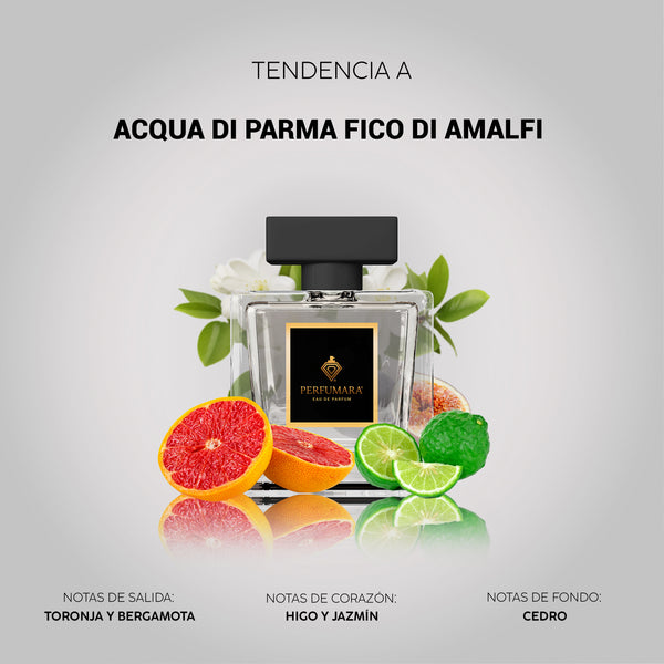 Tendencia a UAcqua di Parma Blu Mediterraneo - Fico di Amalfi