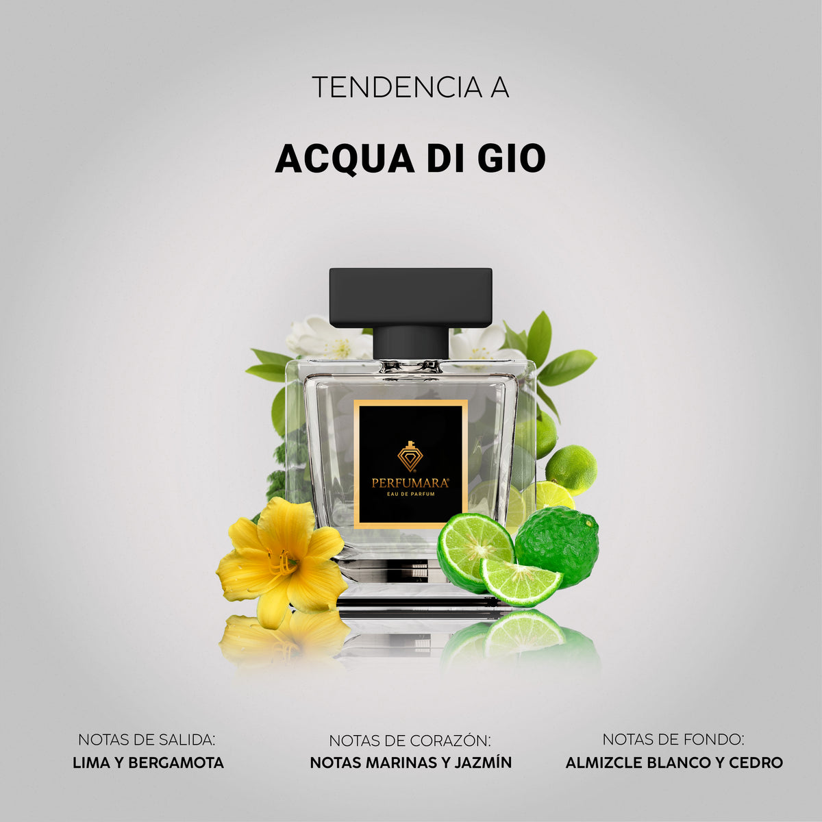 Tendencia a Aqua De Gio
