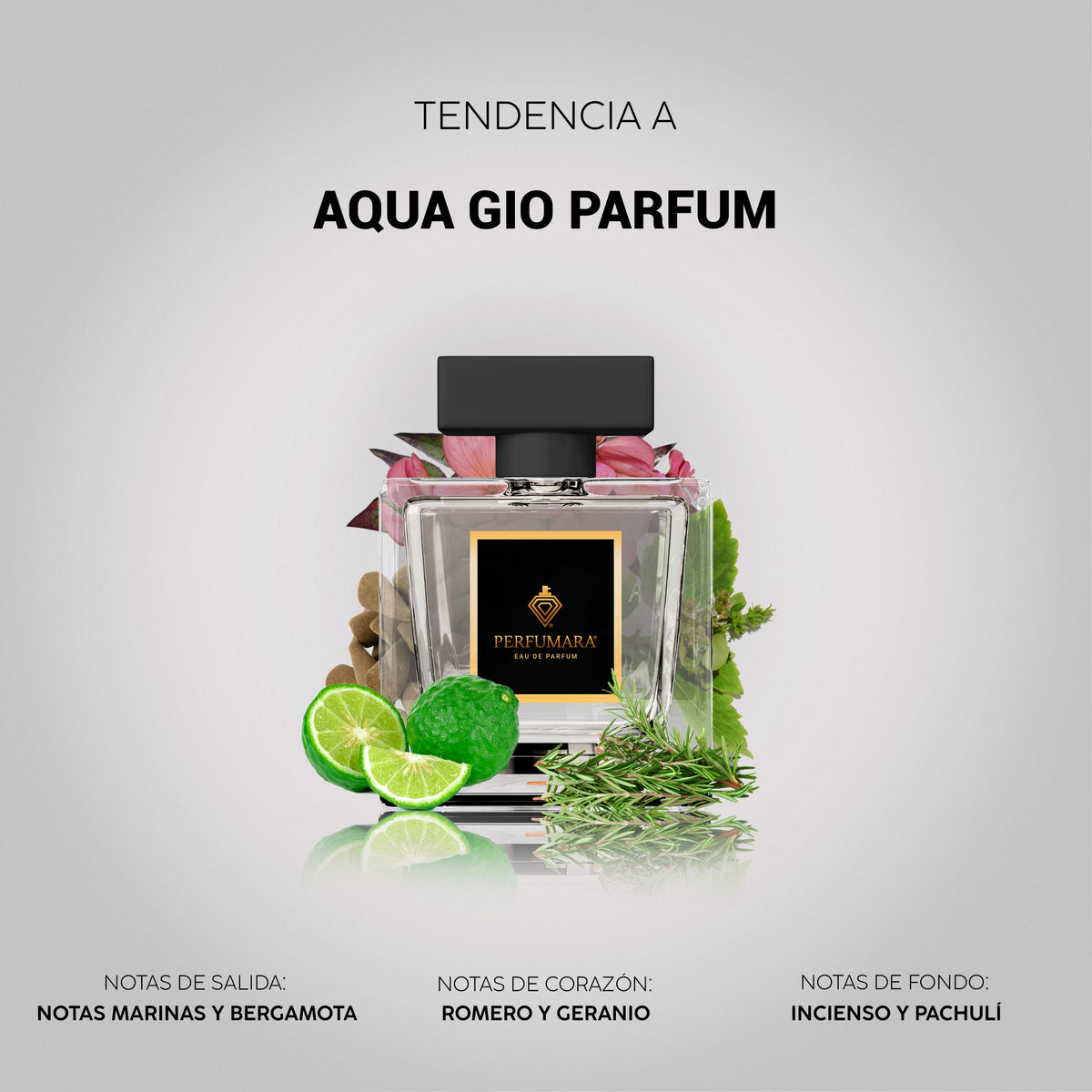 Tendencia a Aqua di Gio Parfum