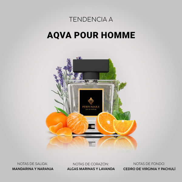 Tendencia a CAqva Pour Homme