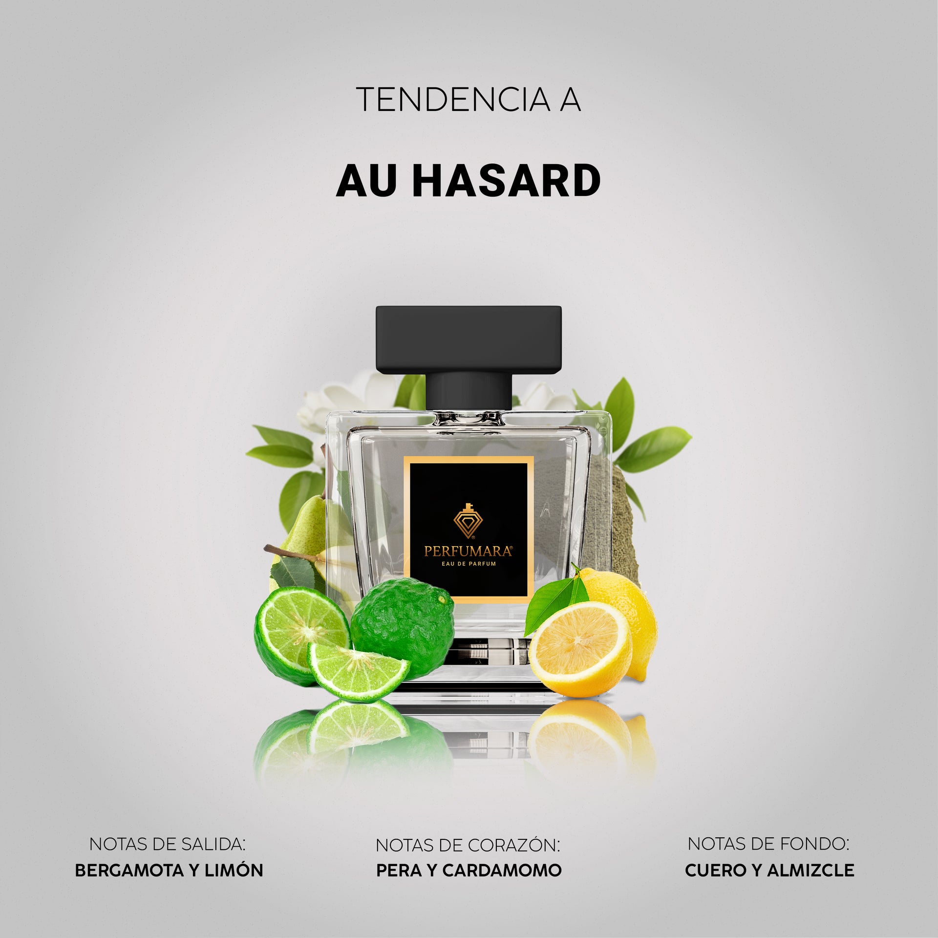Tendencia a CAu Hasard – PERFUMARA OFICIAL
