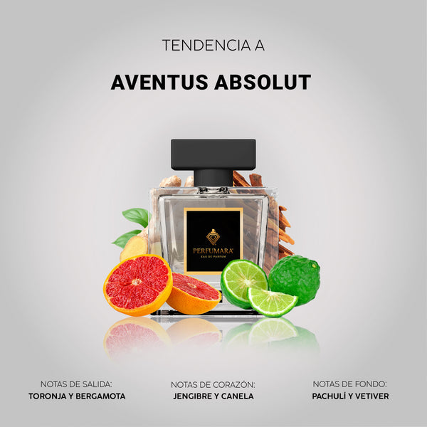 Tendencia  a CAbsolu Aventus