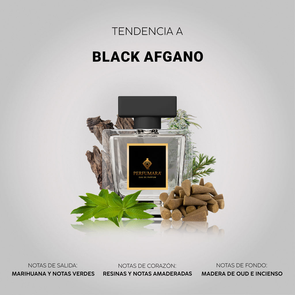 Tendencia  a CBlack Afgano