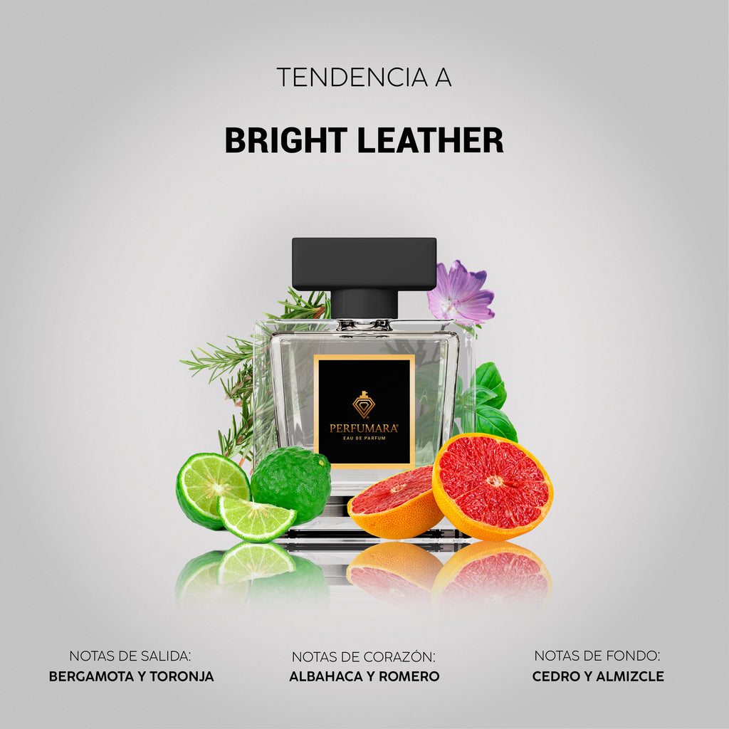 Tendencia a Bright Leather