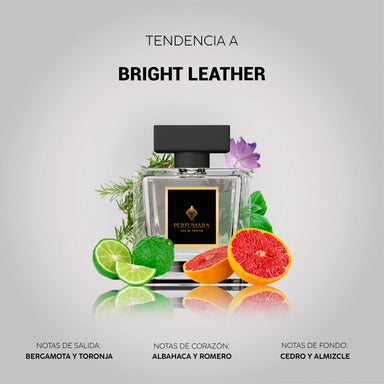 Tendencia a Bright Leather
