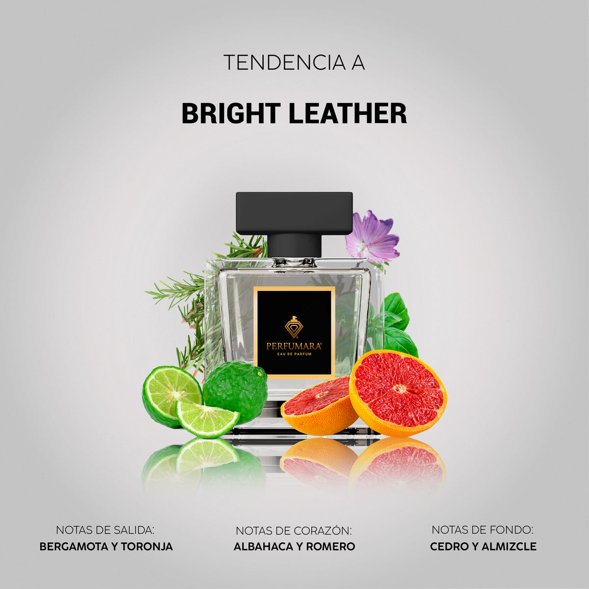 Tendencia a Bright Leather