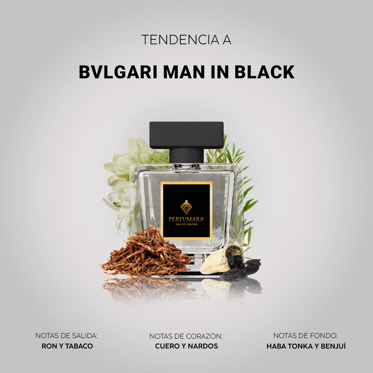 Tendencia a Bvlgari Man in Black
