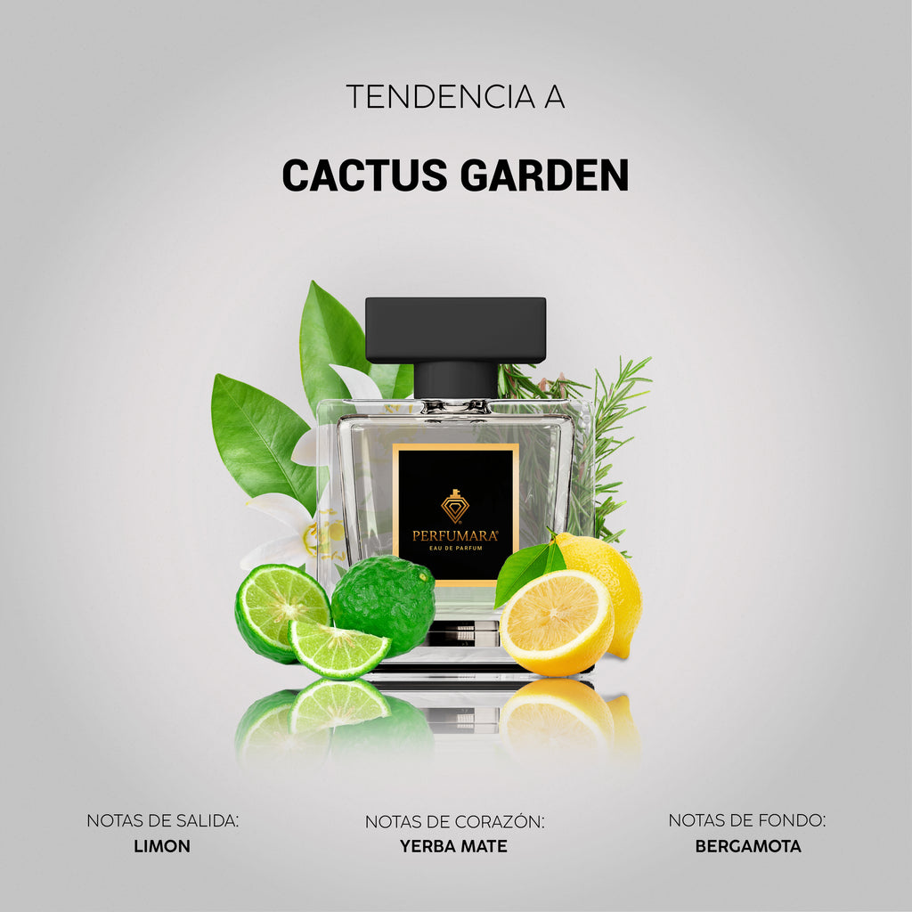 Tendencia a UCactus Garden