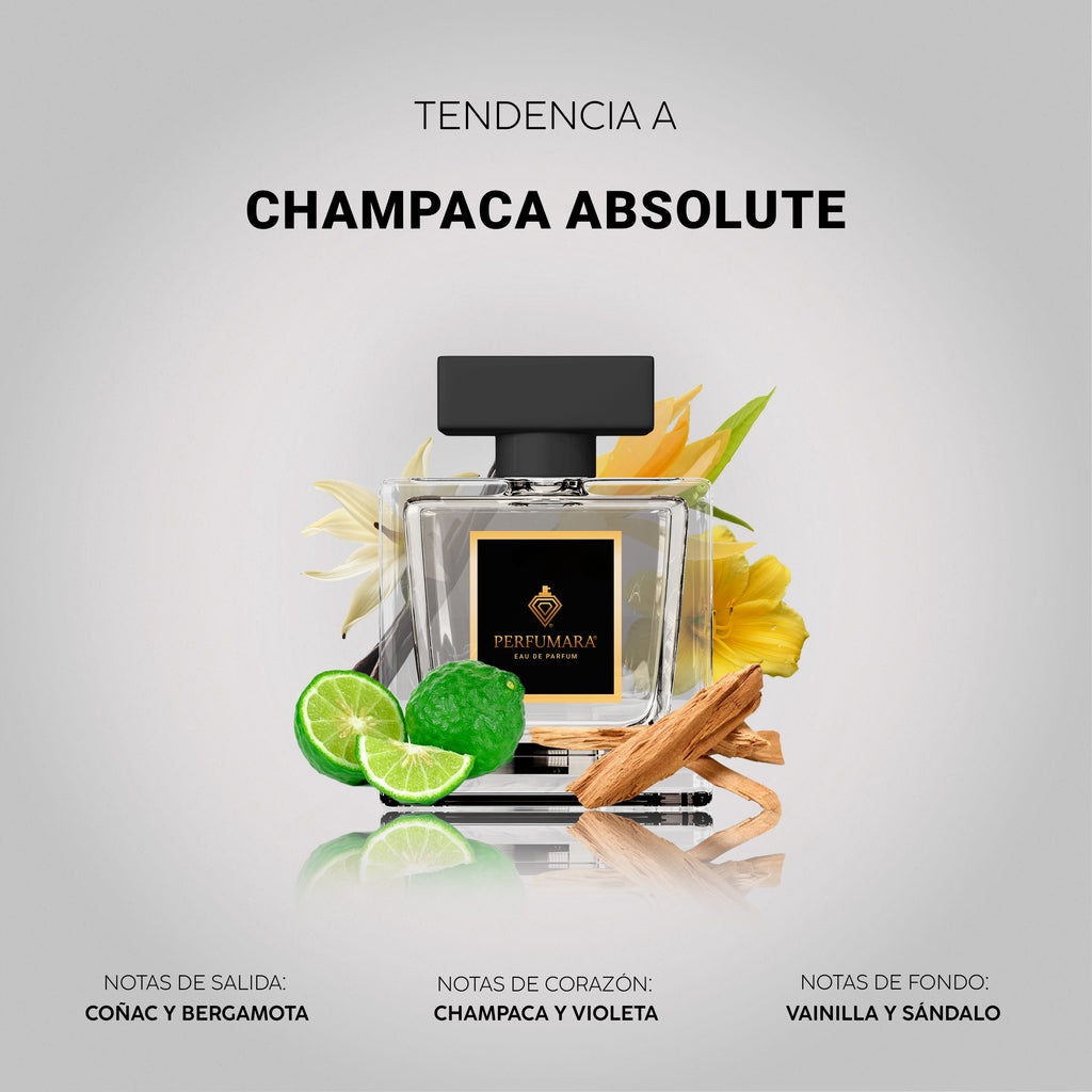 Tendencia a CChampaca Absolute