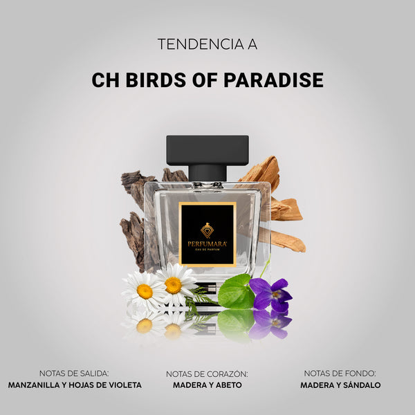 Tendencia  a CCH Birds Of Paradise