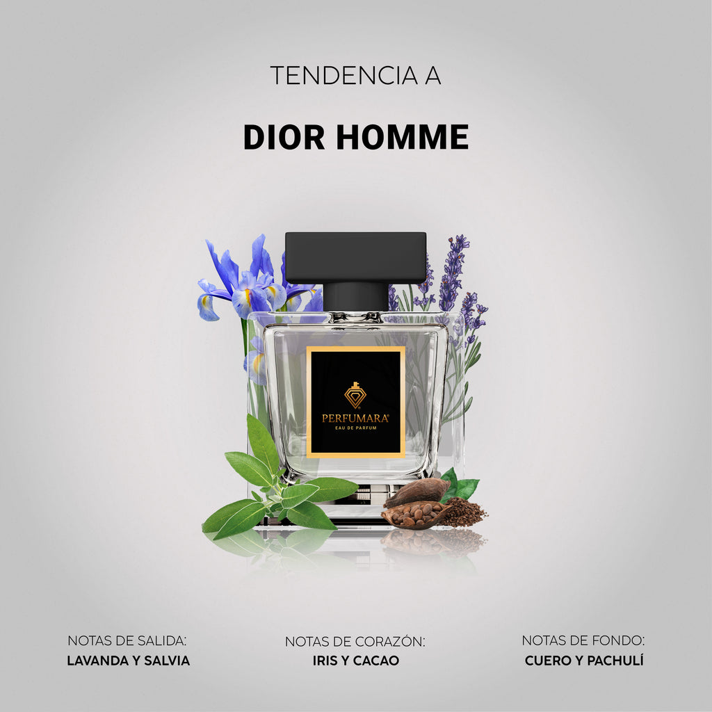 Tendencia a Dior Homme