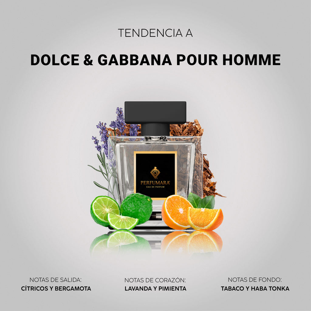 Tendencia a Dolce & Gabbana Pour Homme